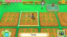 Imagen 34 de Story of Seasons