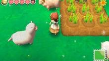 Imagen 35 de Story of Seasons