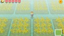 Imagen 49 de Story of Seasons