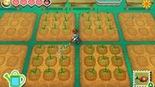Imagen 42 de Story of Seasons