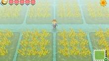 Imagen 62 de Story of Seasons