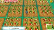 Imagen 65 de Story of Seasons