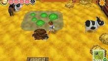 Imagen 54 de Story of Seasons
