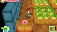 Imagen 57 de Story of Seasons