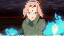 Imagen 368 de Naruto Shippuden: Ultimate Ninja Storm Revolution