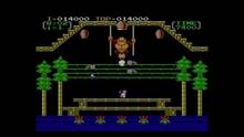 Imagen 4 de Donkey Kong 3 CV