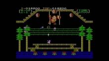 Imagen 5 de Donkey Kong 3 CV
