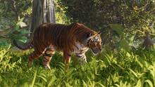 Imagen 38 de Planet Zoo 2
