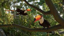Imagen 24 de Planet Zoo 2