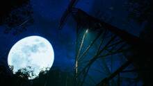 Imagen 34 de The Sinking Forest