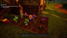 Imagen 4 de Echowood