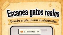 Imagen 2 de CatchCat