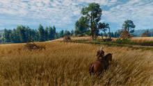 Imagen 33 de The Witcher 3: Wild Hunt - Remastered