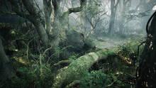 Imagen 10 de TARAE: The Unbound