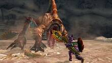 Imagen 65 de Monster Hunter 4 Ultimate
