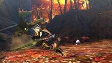 Imagen 74 de Monster Hunter 4 Ultimate