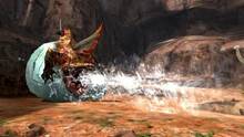 Imagen 161 de Monster Hunter 4 Ultimate