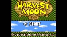 Imagen 8 de Harvest Moon CV