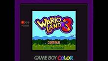 Imagen 2 de Wario Land 3 CV