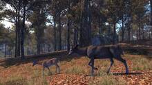 Imagen 11 de Cabela's Big Game Hunter: Pro Hunts PSN