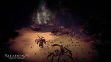 Imagen 28 de Shadows: Heretic Kingdoms