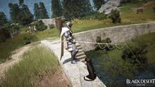 Imagen 19 de Black Desert Online