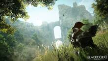 Imagen 12 de Black Desert Online