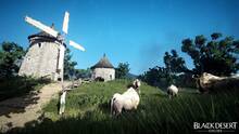 Imagen 15 de Black Desert Online