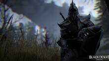 Imagen 28 de Black Desert Online