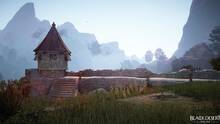 Imagen 48 de Black Desert Online