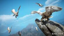 Imagen 67 de Black Desert Online