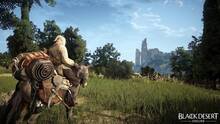 Imagen 60 de Black Desert Online