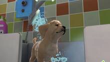 Imagen 4 de PlayStation Vita Pets: Sala de cachorros
