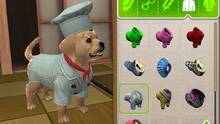 Imagen 7 de PlayStation Vita Pets: Sala de cachorros
