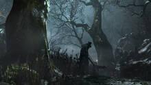 Imagen 59 de Bloodborne