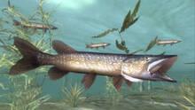Imagen 17 de Sega Bass Fishing 2