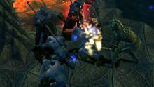 Imagen 29 de Champions of Norrath - Realms of Everquest