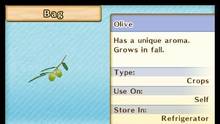 Imagen 96 de Harvest Moon: El Valle Perdido