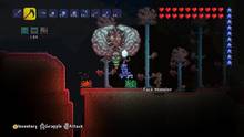 Imagen 49 de Terraria