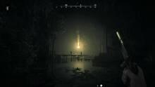 Imagen 67 de Hunt: Showdown