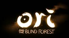 Imagen 15 de Ori and the Blind Forest