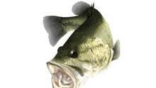 Imagen 4 de Reel Fishing: Master's Challenge PSN