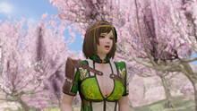 Imagen 80 de Dynasty Warriors 8: Empires