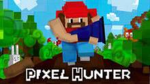 Imagen 3 de Pixel Hunter PSN