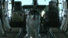 Imagen 275 de Metal Gear Solid V: The Phantom Pain