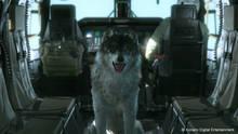 Imagen 311 de Metal Gear Solid V: The Phantom Pain