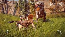 Imagen 25 de Horizon: Zero Dawn