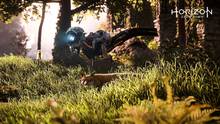 Imagen 40 de Horizon: Zero Dawn