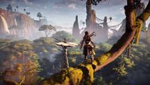 Imagen 46 de Horizon: Zero Dawn