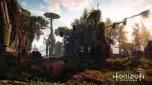 Imagen 78 de Horizon: Zero Dawn